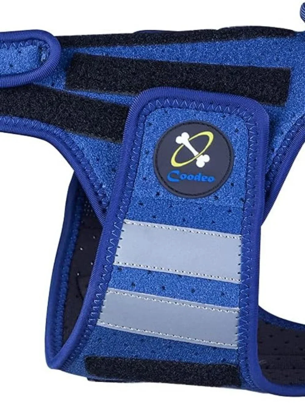 Coodeo Dog Back Brace for Dogs Arthritis, Pet Back Bracer for IVDD